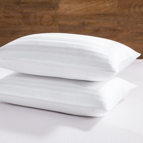 Goose Feather and Down Pillow with Lyocell Shell